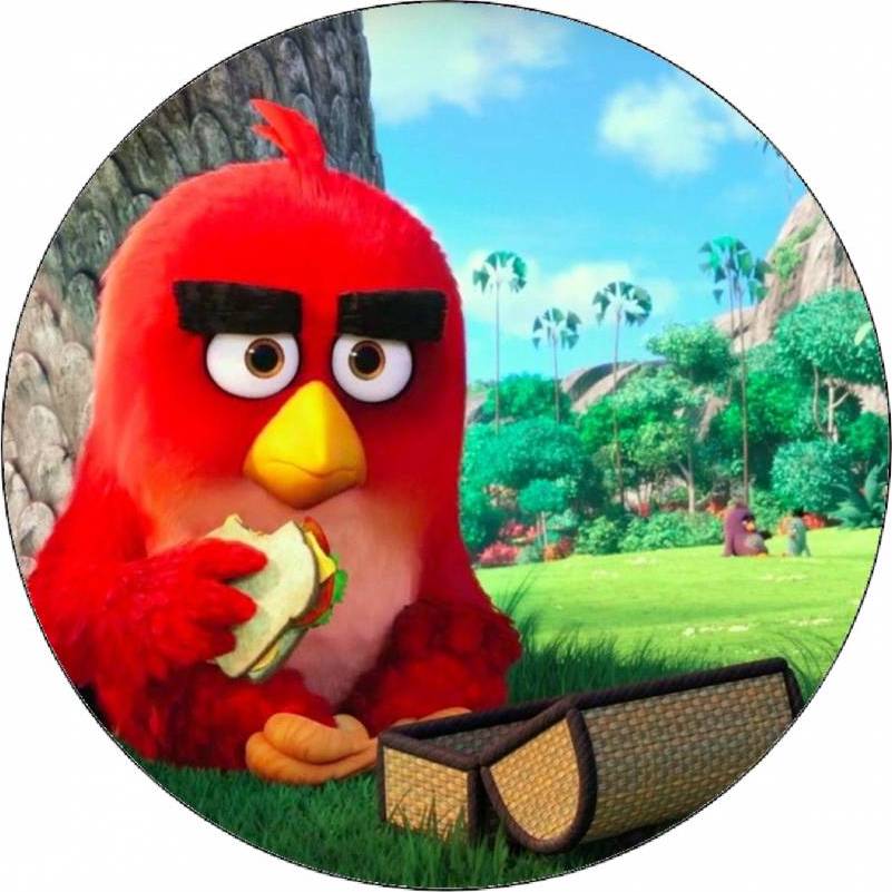 Jedlý papír Angry birds Red na pikniku 19