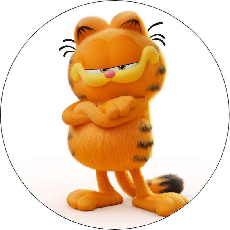 Jedlý papír kocour Garfield 19