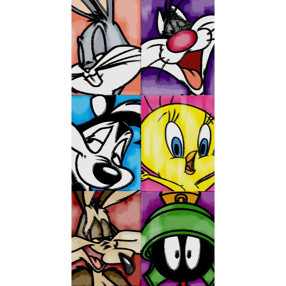 Dětská osuška Looney Tunes Trhlíci-